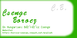 csenge borocz business card